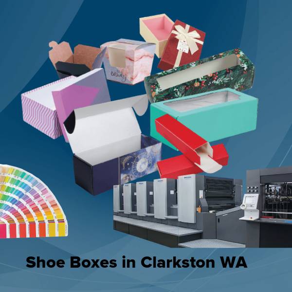 Shoe boxes in clarkston wa
