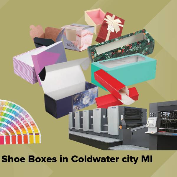 Shoe boxes in coldwater city mi