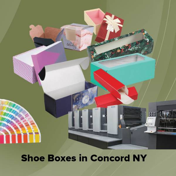 Shoe boxes in concord ny