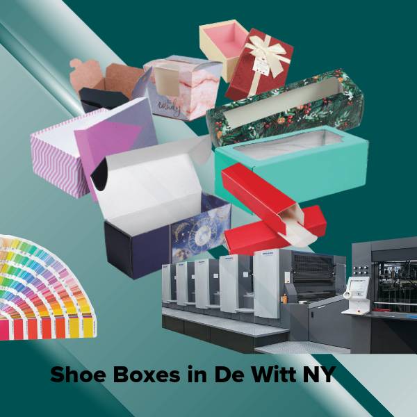 Shoe boxes in de witt ny