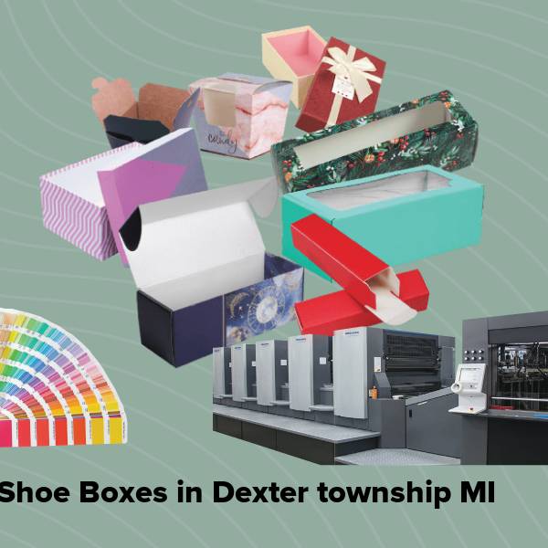 Shoe boxes in dexter township mi