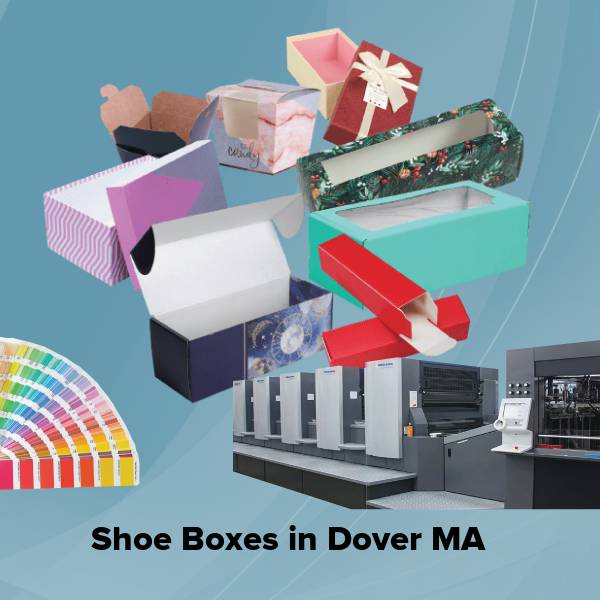Shoe boxes in dover ma