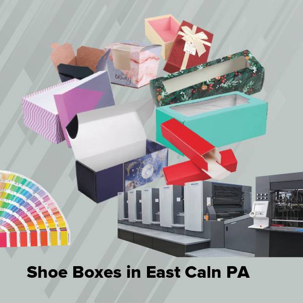 Shoe boxes in east caln pa