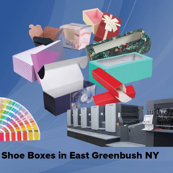 Shoe boxes in east greenbush ny