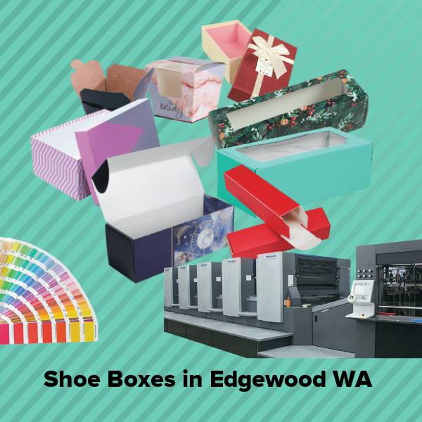 Shoe boxes in edgewood wa