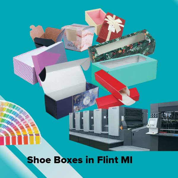 Shoe boxes in flint mi