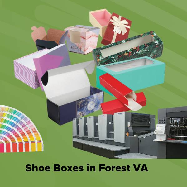 Shoe boxes in forest va