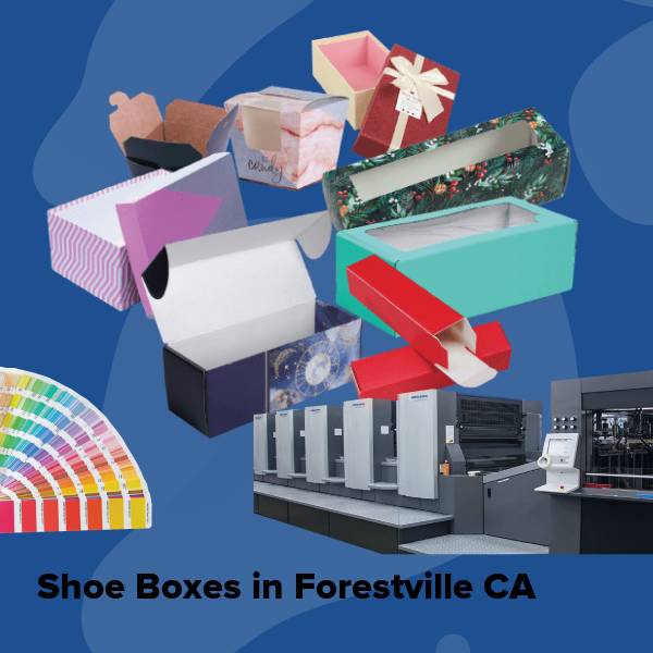 Shoe boxes in forestville ca