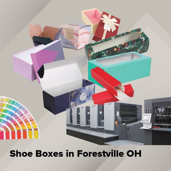 Shoe boxes in forestville oh