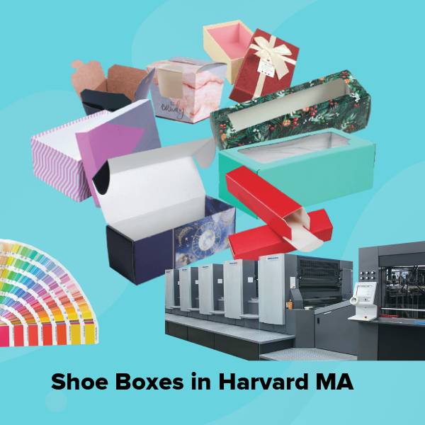 Shoe boxes in harvard ma