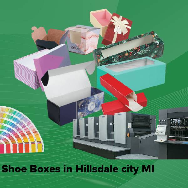 Shoe boxes in hillsdale city mi