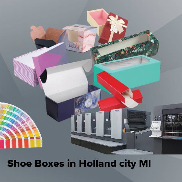Shoe boxes in holland city mi