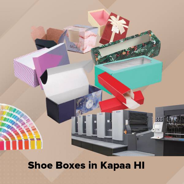Shoe boxes in kapaa hi