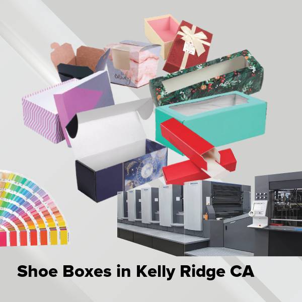 Shoe boxes in kelly ridge ca