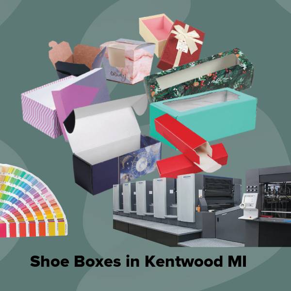 Shoe boxes in kentwood mi
