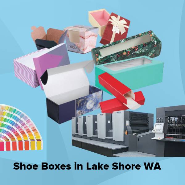 Shoe boxes in lake shore wa