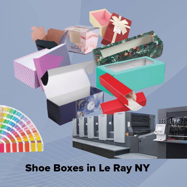 Shoe boxes in le ray ny