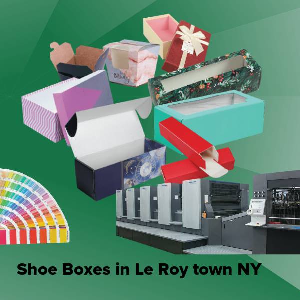 Shoe boxes in le roy town ny