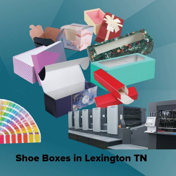 Shoe boxes in lexington tn