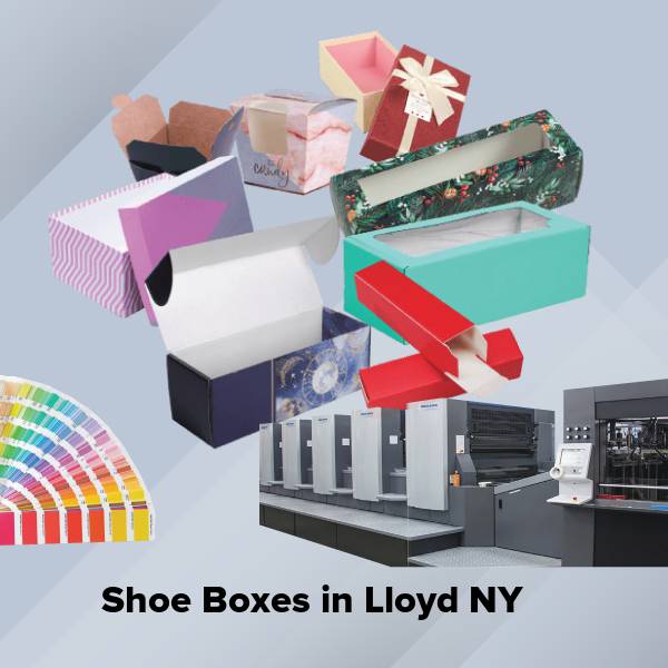 Shoe boxes in lloyd ny