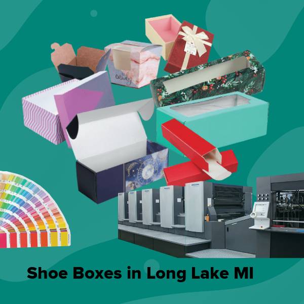 Shoe boxes in long lake mi