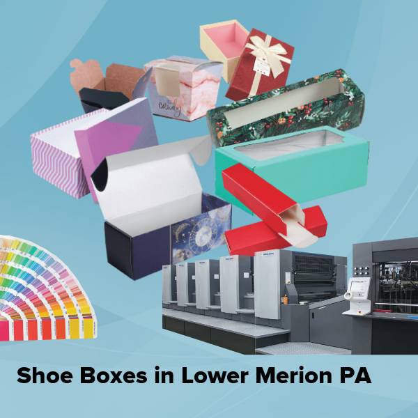 Shoe boxes in lower merion pa