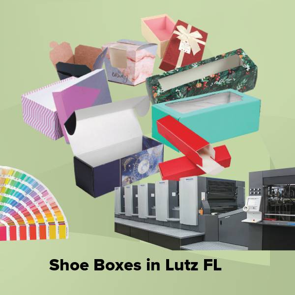 Shoe boxes in lutz fl