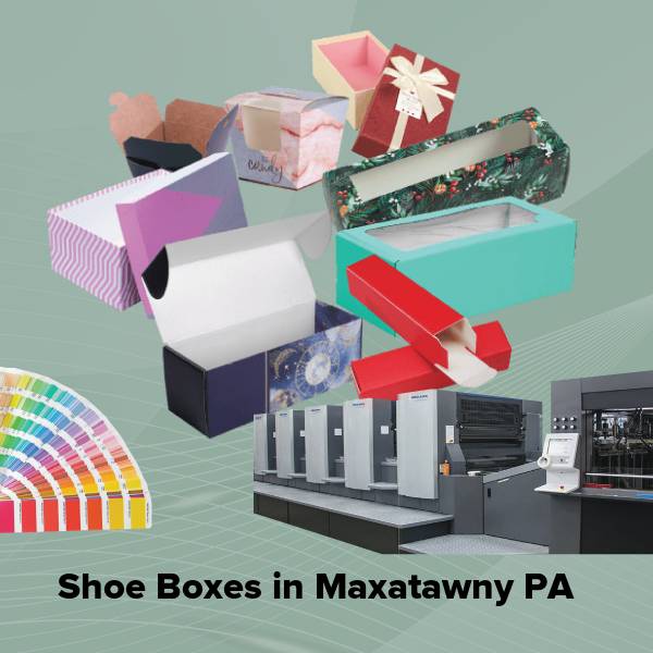 Shoe boxes in maxatawny pa