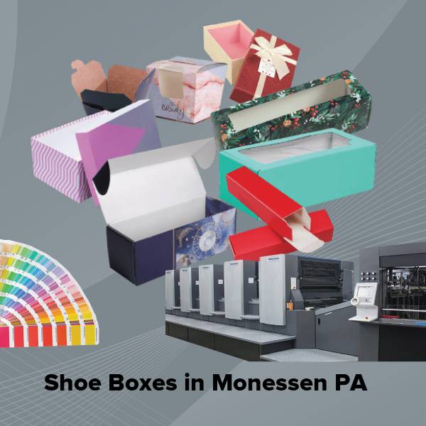 Shoe boxes in monessen pa