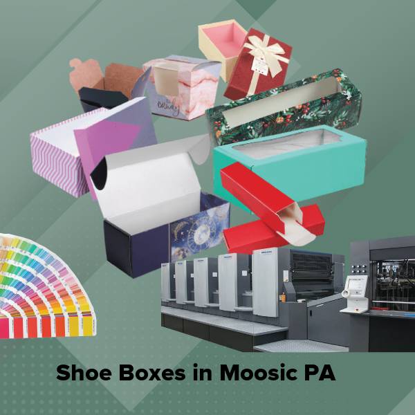 Shoe boxes in moosic pa