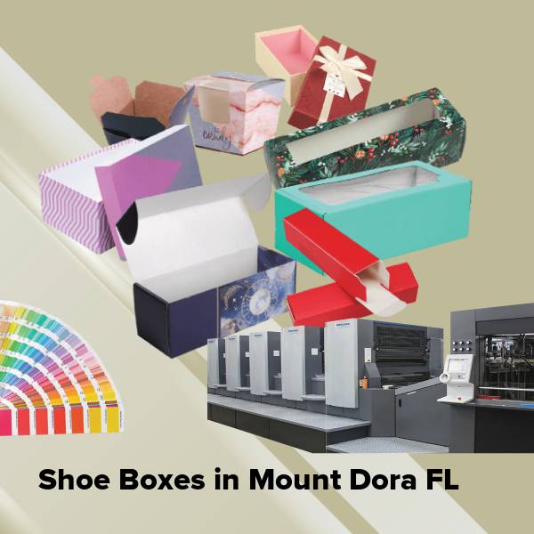 Shoe boxes in mount dora fl