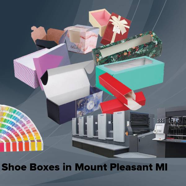 Shoe boxes in mount pleasant mi