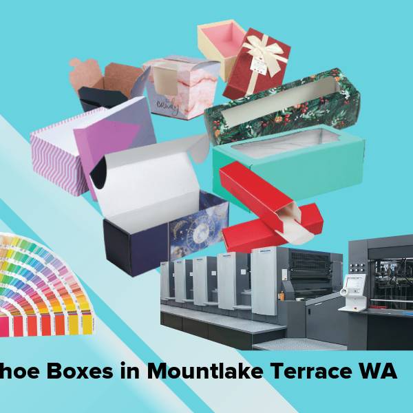 Shoe boxes in mountlake terrace wa