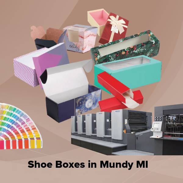 Shoe boxes in mundy mi