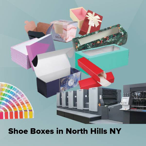 Shoe boxes in north hills ny