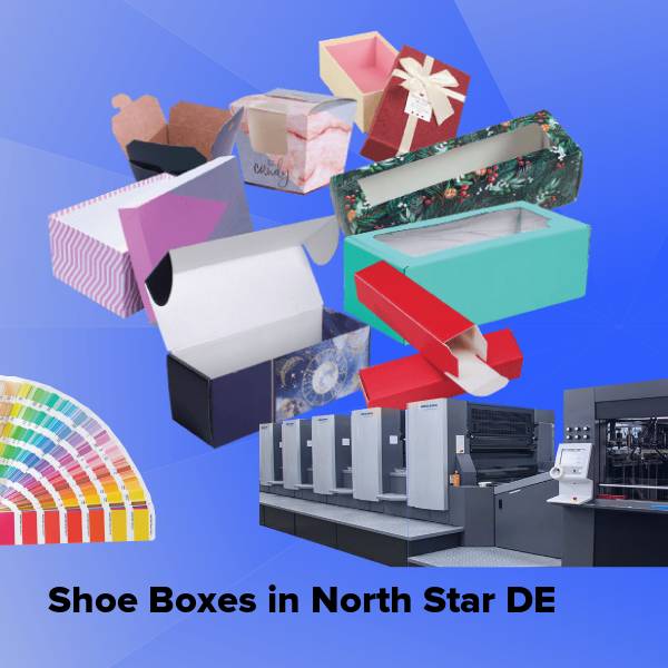 Shoe boxes in north star de