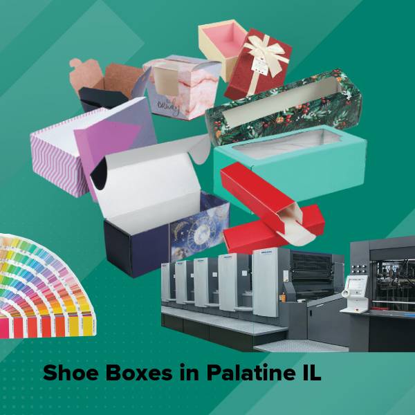 Shoe boxes in palatine il
