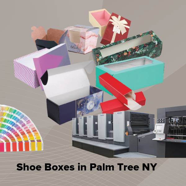 Shoe boxes in palm tree ny