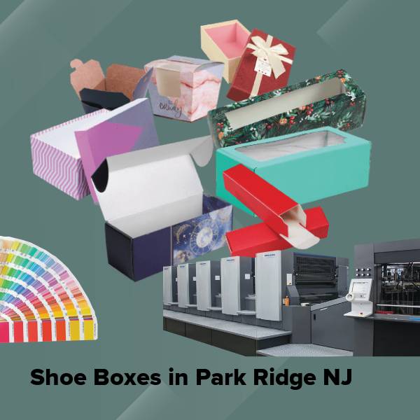 Shoe boxes in park ridge nj