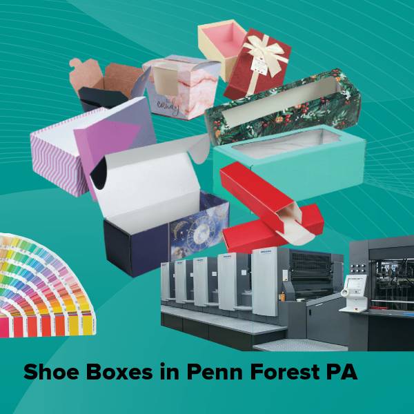 Shoe boxes in penn forest pa