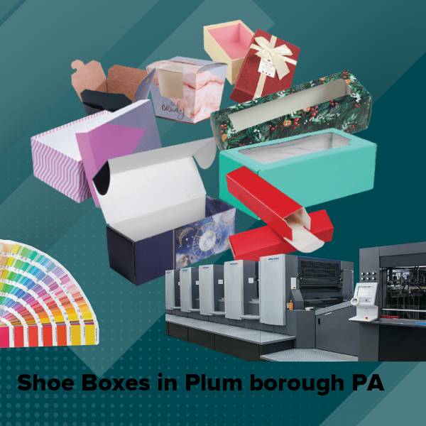 Shoe boxes in plum borough pa