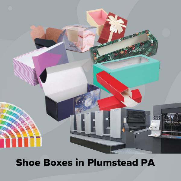 Shoe boxes in plumstead pa