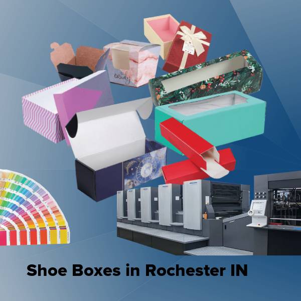 Shoe boxes in rochester in
