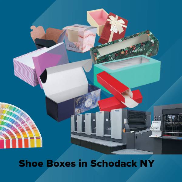 Shoe boxes in schodack ny
