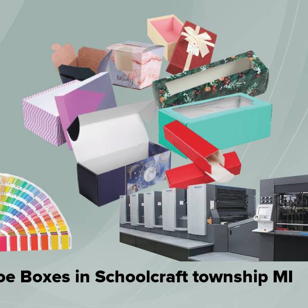 Shoe boxes in schoolcraft township mi