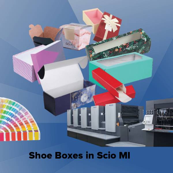 Shoe boxes in scio mi