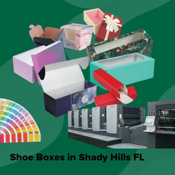 Shoe boxes in shady hills fl