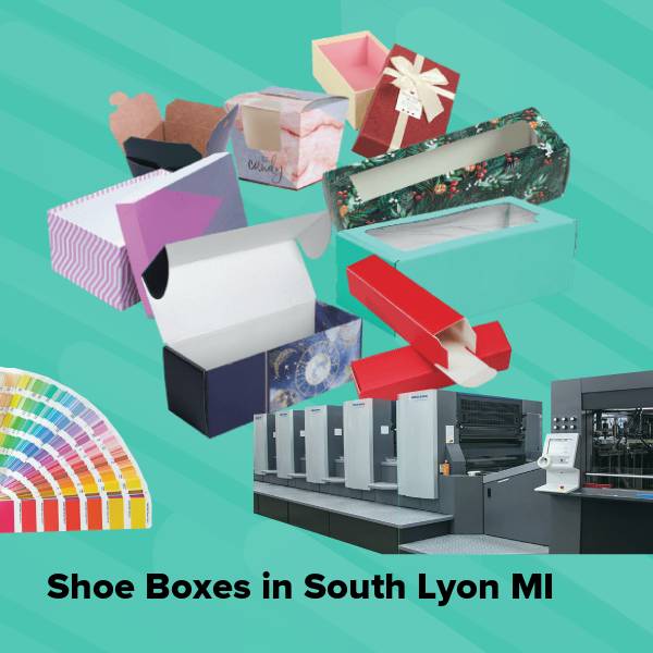 Shoe boxes in south lyon mi