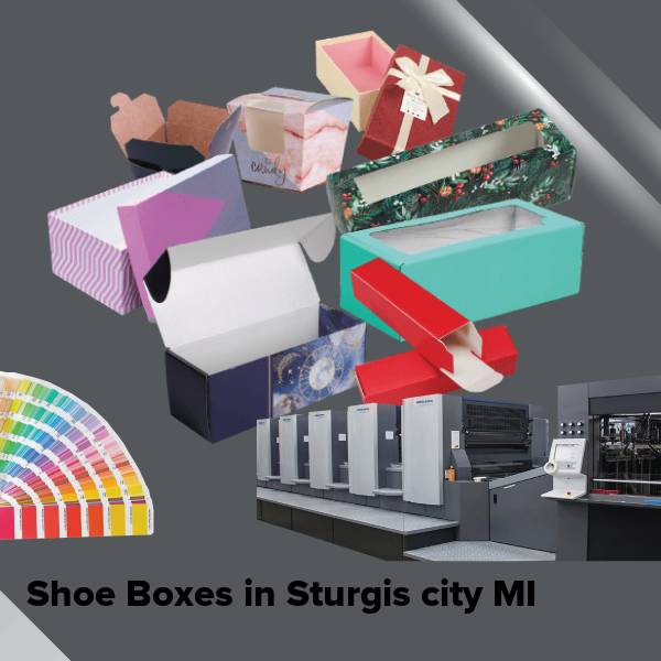Shoe boxes in sturgis city mi