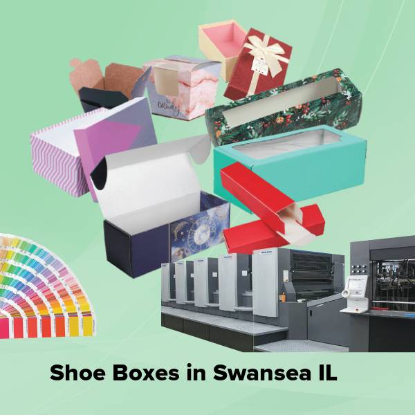Shoe boxes in swansea il